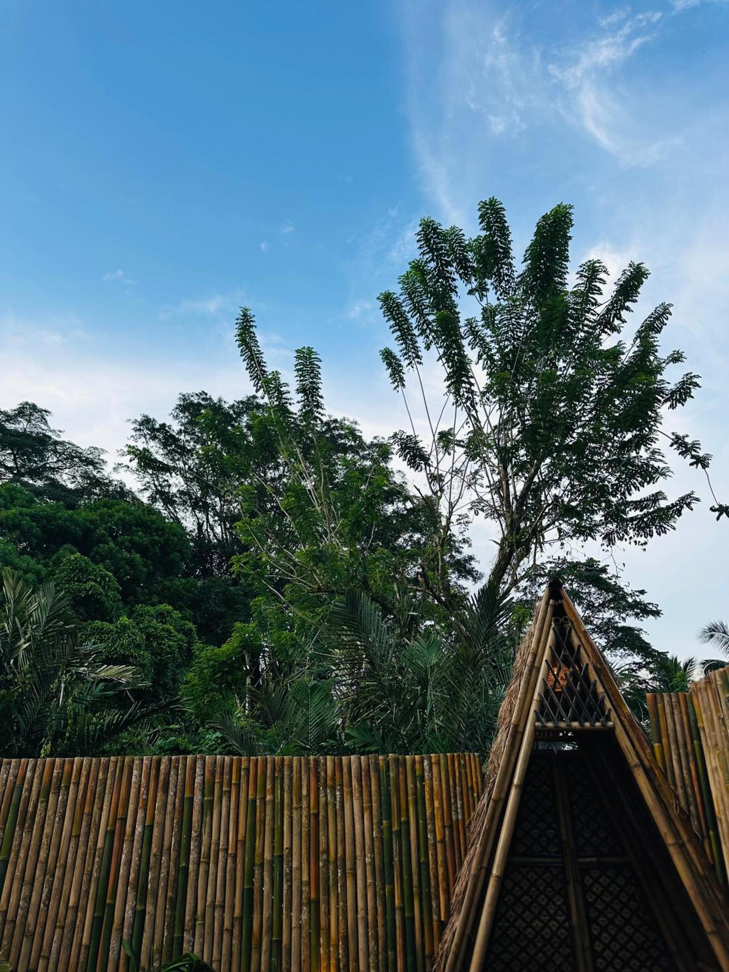 Villa Bamboo House - Ecobreeze Sidemen  Esterno foto